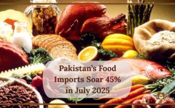 Pakistan’s Food Imports Soar 45% in July 2025