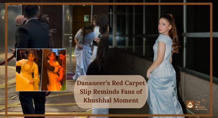Dananeer’s Red Carpet Slip Reminds Fans of Khushhal Moment