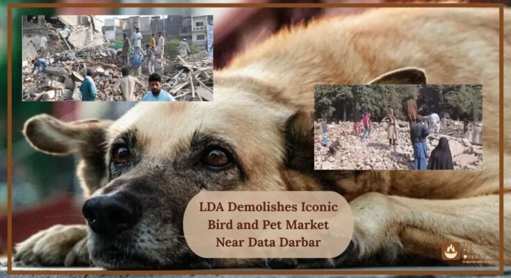 LDA Demolishes Iconic Bird and Pet Market Near Data Darbar