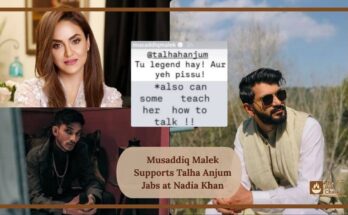 Musaddiq Malek Supports Talha Anjum Jabs at Nadia Khan